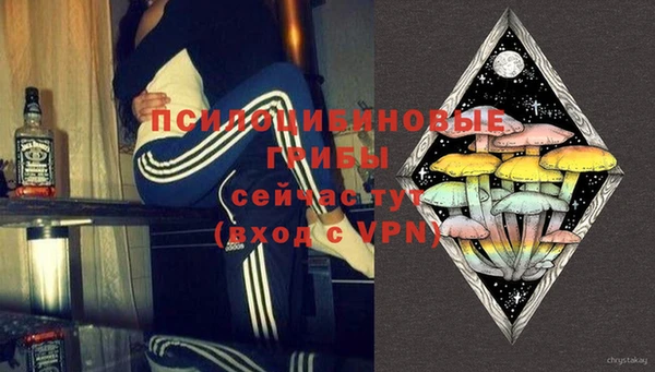 mix Осинники