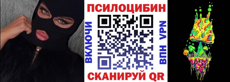 как найти   Новая Ладога  Псилоцибиновые грибы ЛСД 
