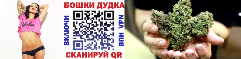 Канабис OG Kush  Новая Ладога 